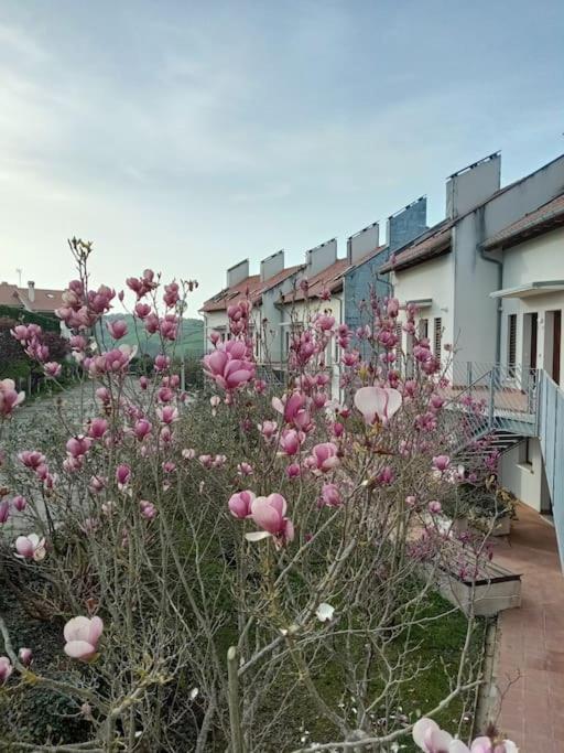 산비센테데라바케라 Terraza Y Piscina Con Vistas Espectaculares Al Mar Parking Cubierto 아파트 외부 사진